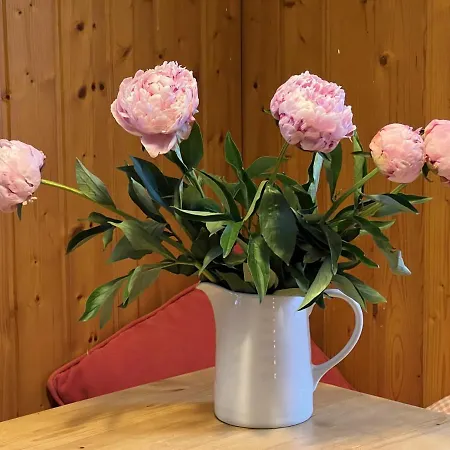 Nyaraló Monika Am Masenberg