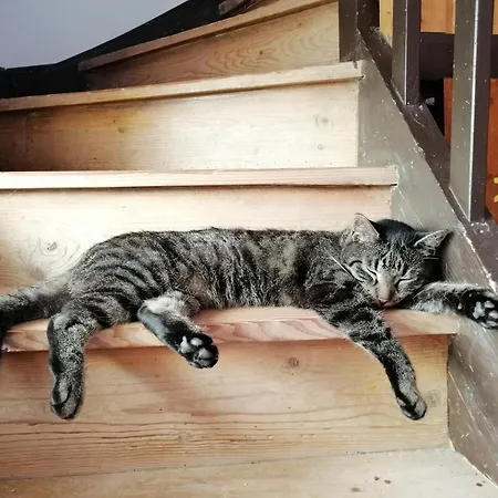 Monika Am Masenberg *