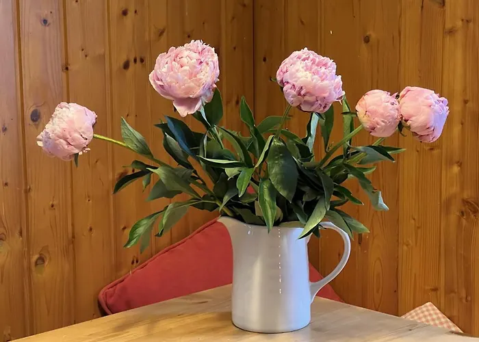 بيت للعطل Monika Am Masenberg