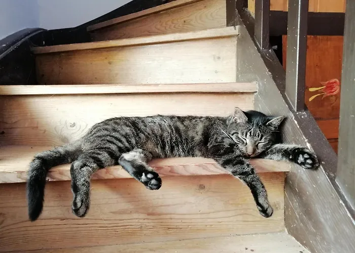 Monika Am Masenberg *